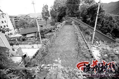 國家級貧困縣花巨資建4座橋短期內(nèi)均成危橋