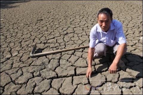 重慶突破42℃高溫  未來兩天高溫持續(xù)