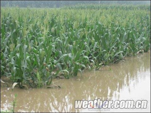 河北入汛最強降雨結(jié)束 今夜新輪雨水再來