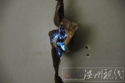 豬肉半夜發(fā)藍(lán)光