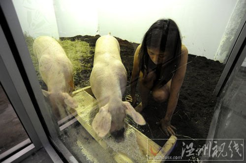 女行為藝術(shù)家玩另類：與豬裸睡