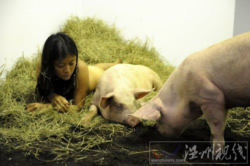 女行為藝術(shù)家玩另類：與豬裸睡