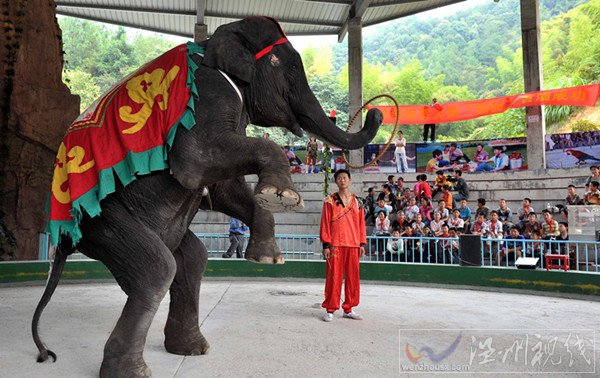 金華動(dòng)物園