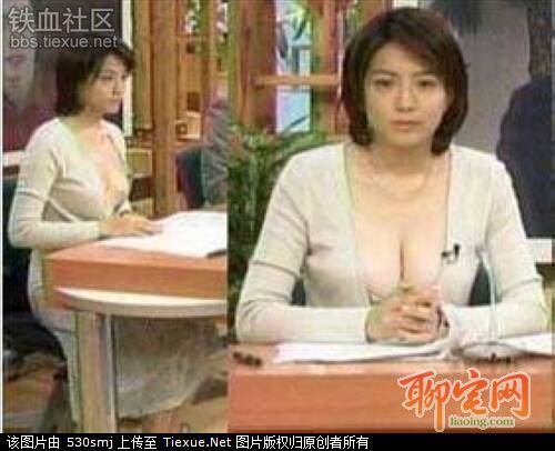 美女主持杉浦友紀(jì)的圖片