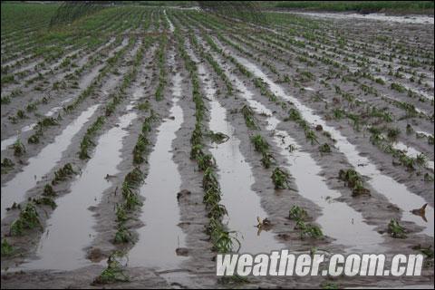遼源28日出現(xiàn)短時(shí)強(qiáng)降雨 市區(qū)低洼路面積水（圖）