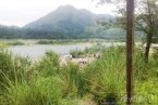 楠溪江燒烤景點(diǎn)圖片