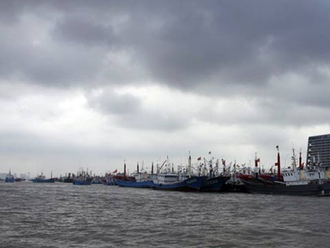 臺風(fēng)海葵對浙江交通影響 浙江臺風(fēng)海葵