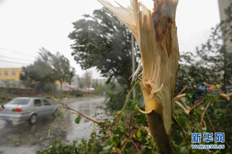 布拉萬北上侵襲 吉林省多地遭遇強(qiáng)風(fēng)雨