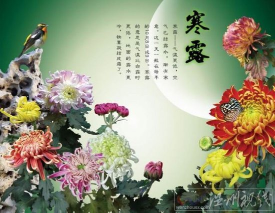 二十四節(jié)氣寒露節(jié)氣由來(lái)