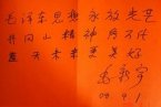 毛新宇書法其實(shí)稱不上書