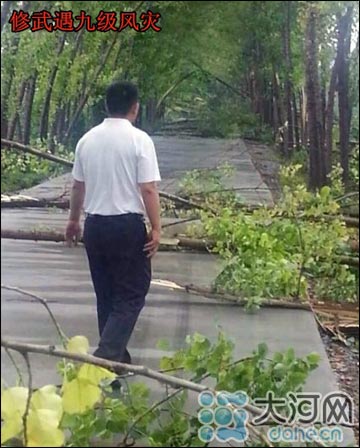 河南遇暴雨冰雹38萬人受災(zāi)1人死亡 冰雹個頭最大如雞蛋