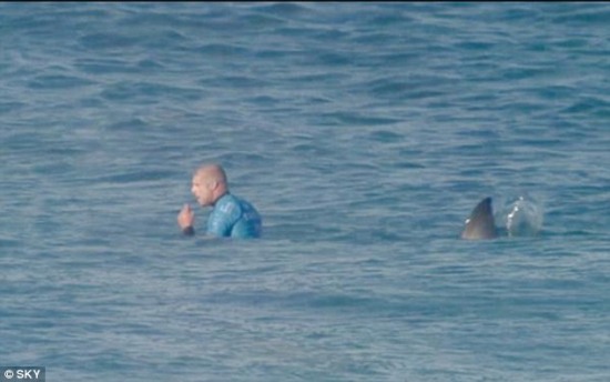 世界沖浪冠軍賽選手遭鯊魚襲擊勇敢逃生