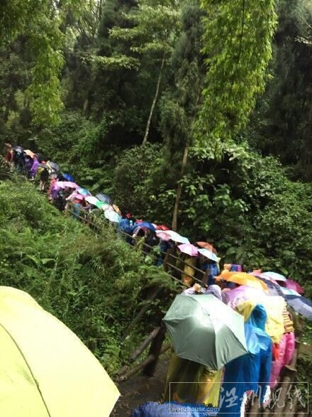 一名臺(tái)灣游客被大樹砸死