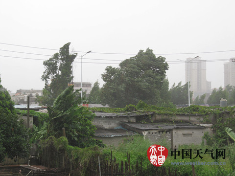 臺(tái)風(fēng)彩虹登陸湛江