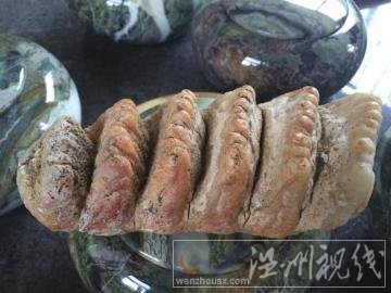 瀘州古藺發(fā)現(xiàn)多牙怪獸化石
