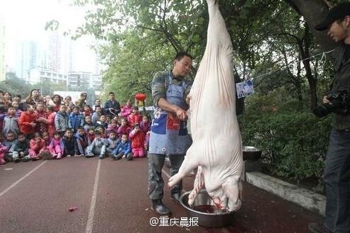小學(xué)組織現(xiàn)場殺豬