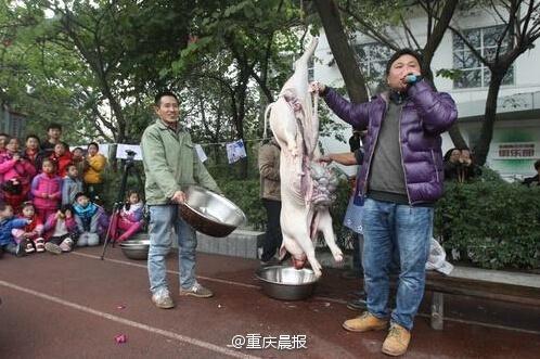 小學(xué)組織現(xiàn)場殺豬