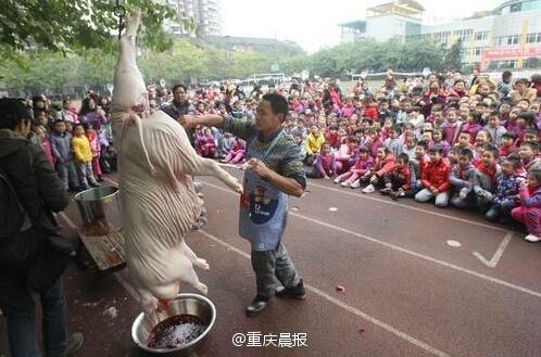 小學(xué)組織現(xiàn)場殺豬