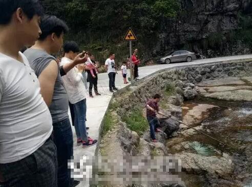 金華驚現(xiàn)五步蛇