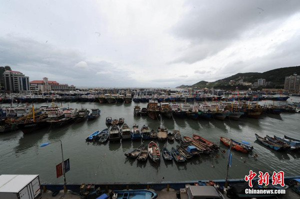 福建防御臺(tái)風(fēng)尼伯特