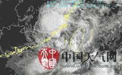 臺風(fēng)尼伯特衛(wèi)星云圖