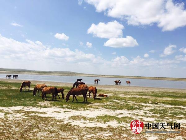 內蒙古多地最高溫度超過40℃