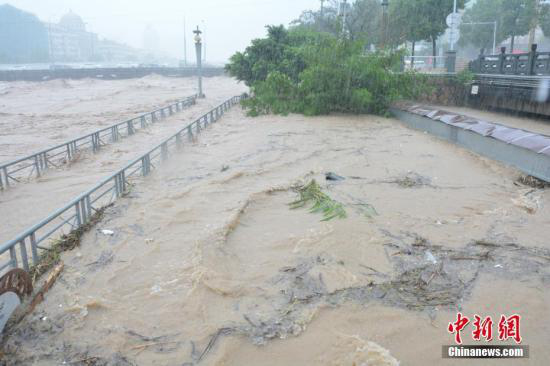 臺風(fēng)莫蘭蒂浙江死亡人數(shù)