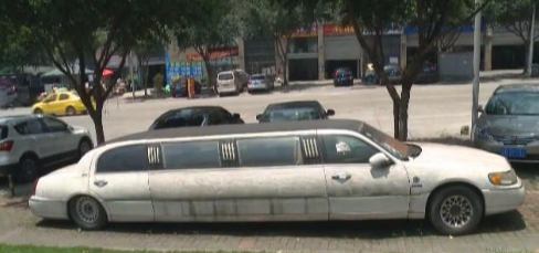 百萬(wàn)豪車長(zhǎng)出青苔