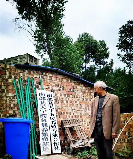 四川78條鱷魚(yú)出逃
