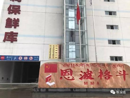 格斗孤兒現(xiàn)反轉
