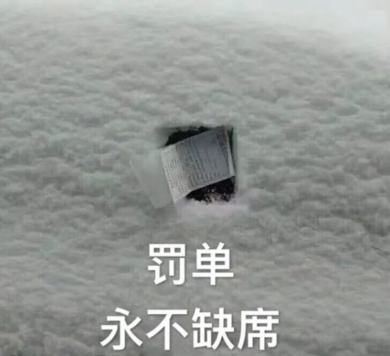 這張罰單網(wǎng)友笑瘋