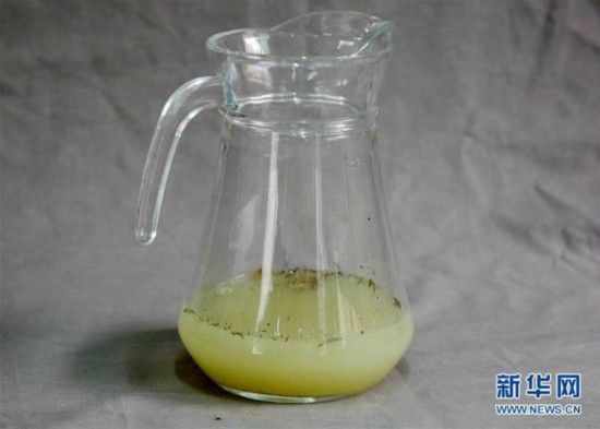 2000年前秦國古酒