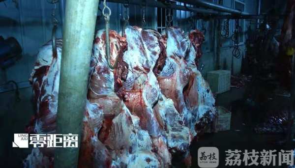 給活牛注水120斤 暗訪黑心屠宰場(chǎng)