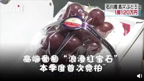 日本高級(jí)葡萄一串120萬日元