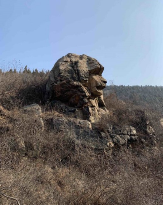 濟南現獅身人面像