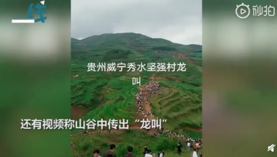 貴州山中龍吟為鳥類發出聲源
