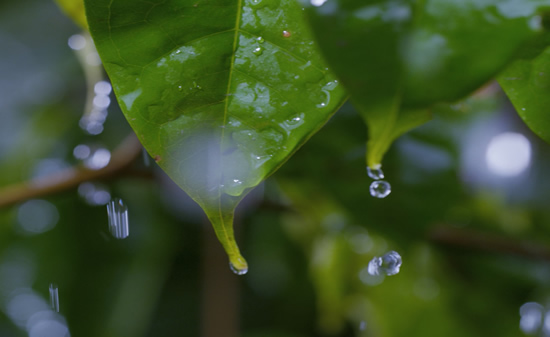 臺風(fēng)和龍卷風(fēng)的區(qū)別